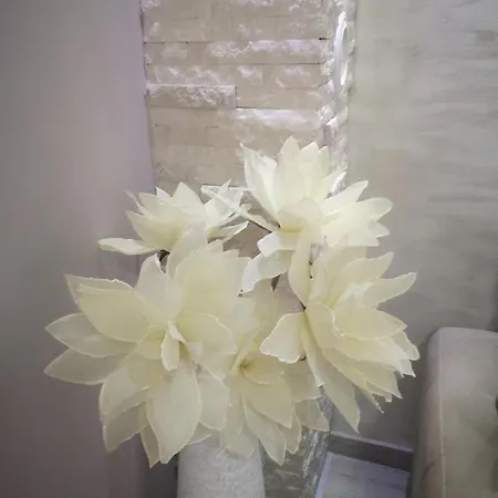 Stan Heba Apartment